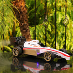Speed Formula Remote Controlled Racing Car Toy with Lights and Spray Effect | Scale 1:14