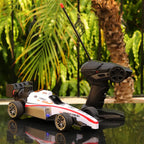 Speed Formula Remote Controlled Racing Car Toy with Lights and Spray Effect | Scale 1:14